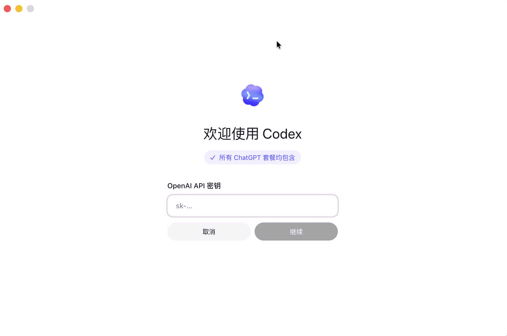 Codex OpenAI API 密钥输入框截图