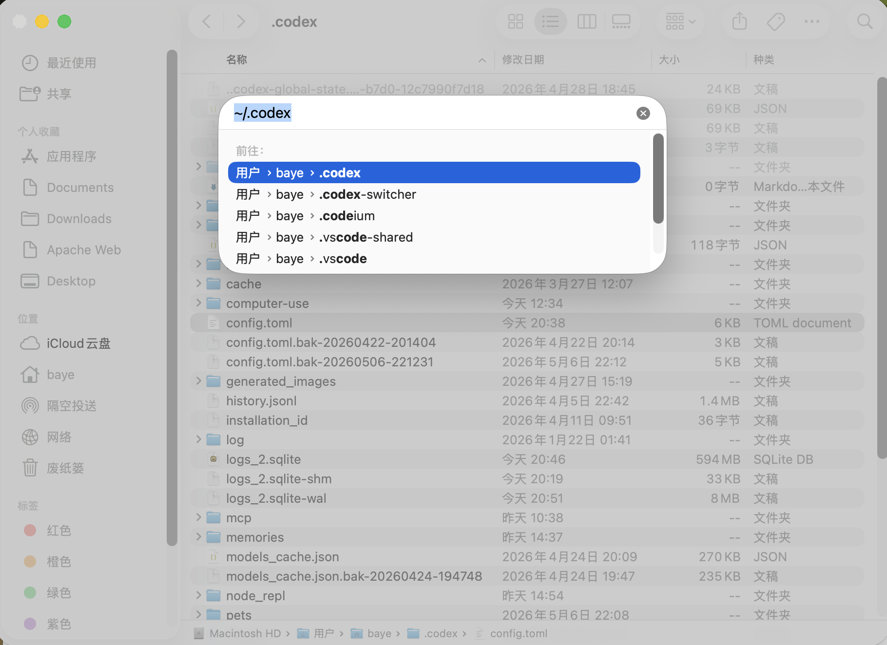 Finder 输入 ~/.codex 路径截图